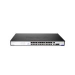 سوییچ نتربیت NGS-F1028P-A